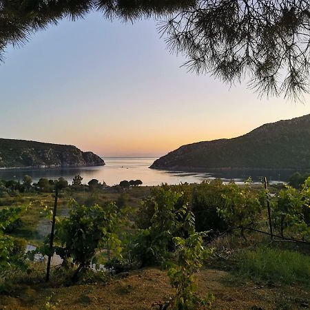 Porto Koufo Resort Bungalows Buitenkant foto