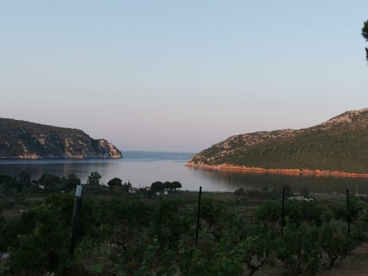 Porto Koufo Resort Bungalows Buitenkant foto