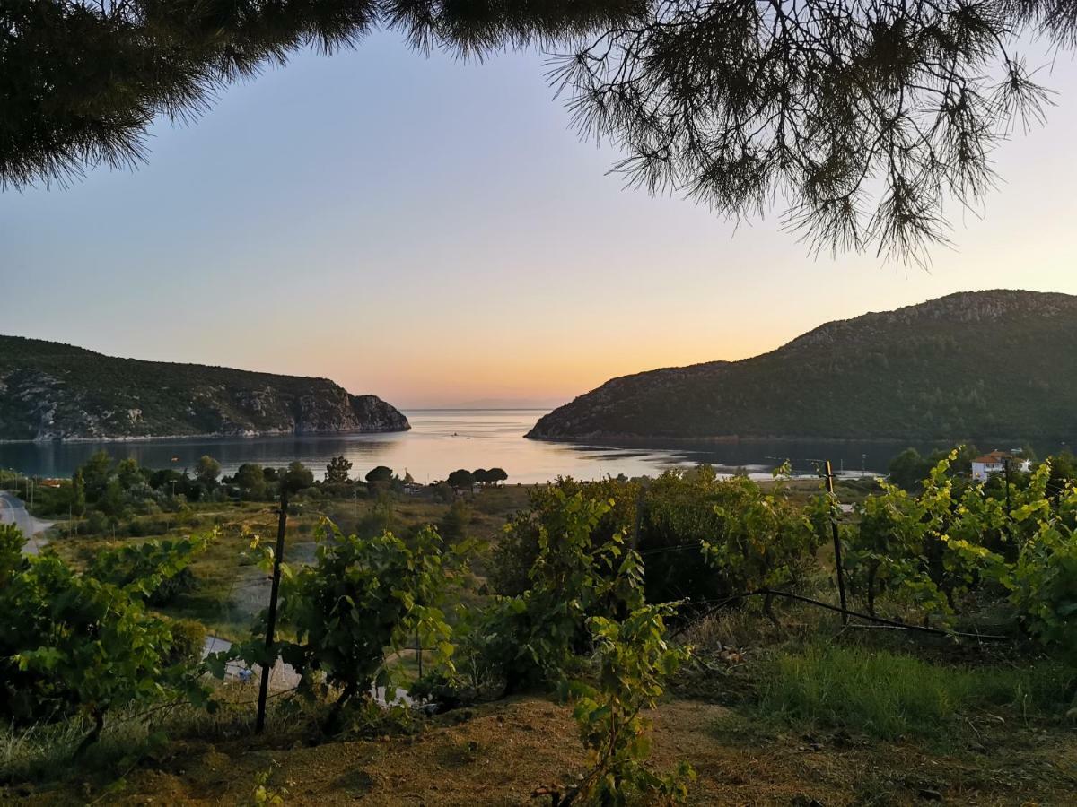 Porto Koufo Resort Bungalows Buitenkant foto