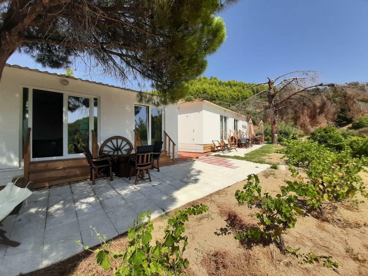 Porto Koufo Resort Bungalows Buitenkant foto