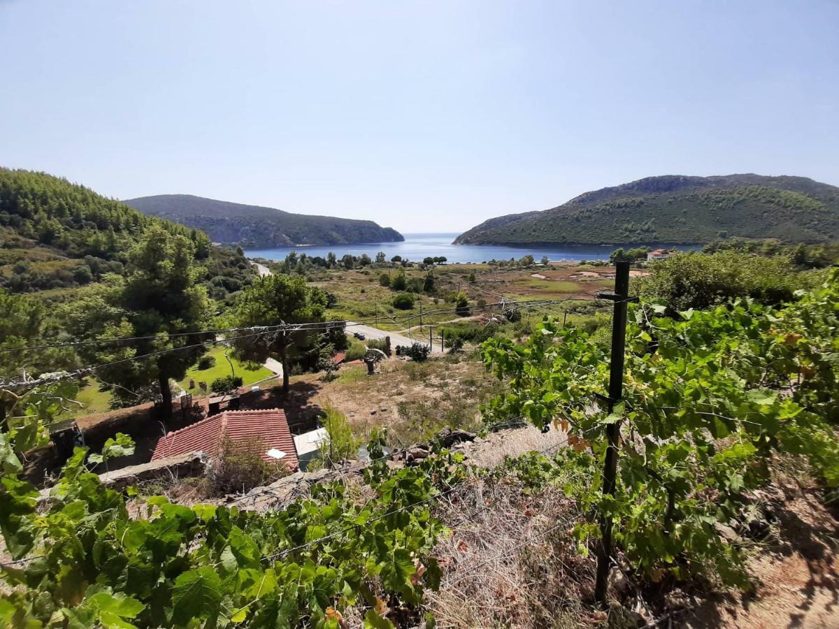 Porto Koufo Resort Bungalows Buitenkant foto